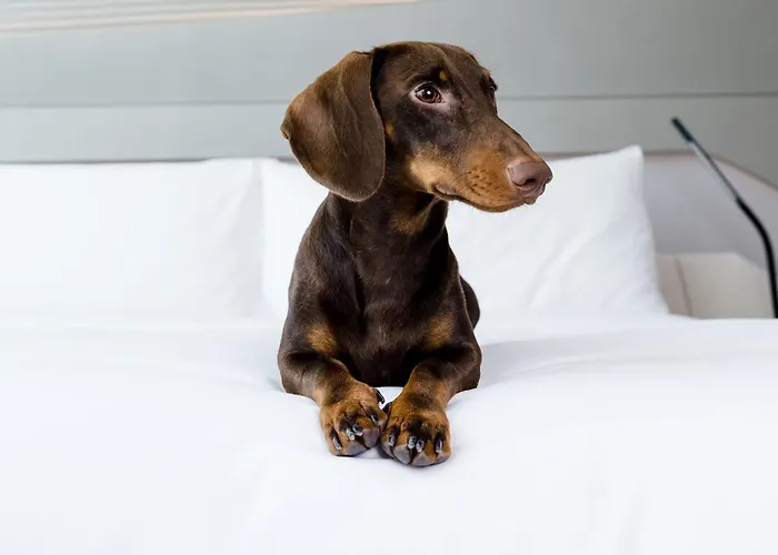 Villa Marquis A Member Of Melia Collection Tour Eiffel Parigi